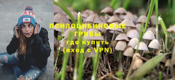 бошки Абинск