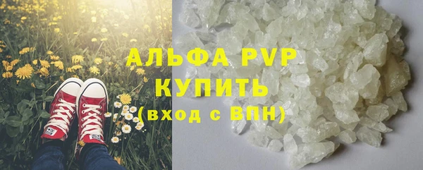 спиды Рославль